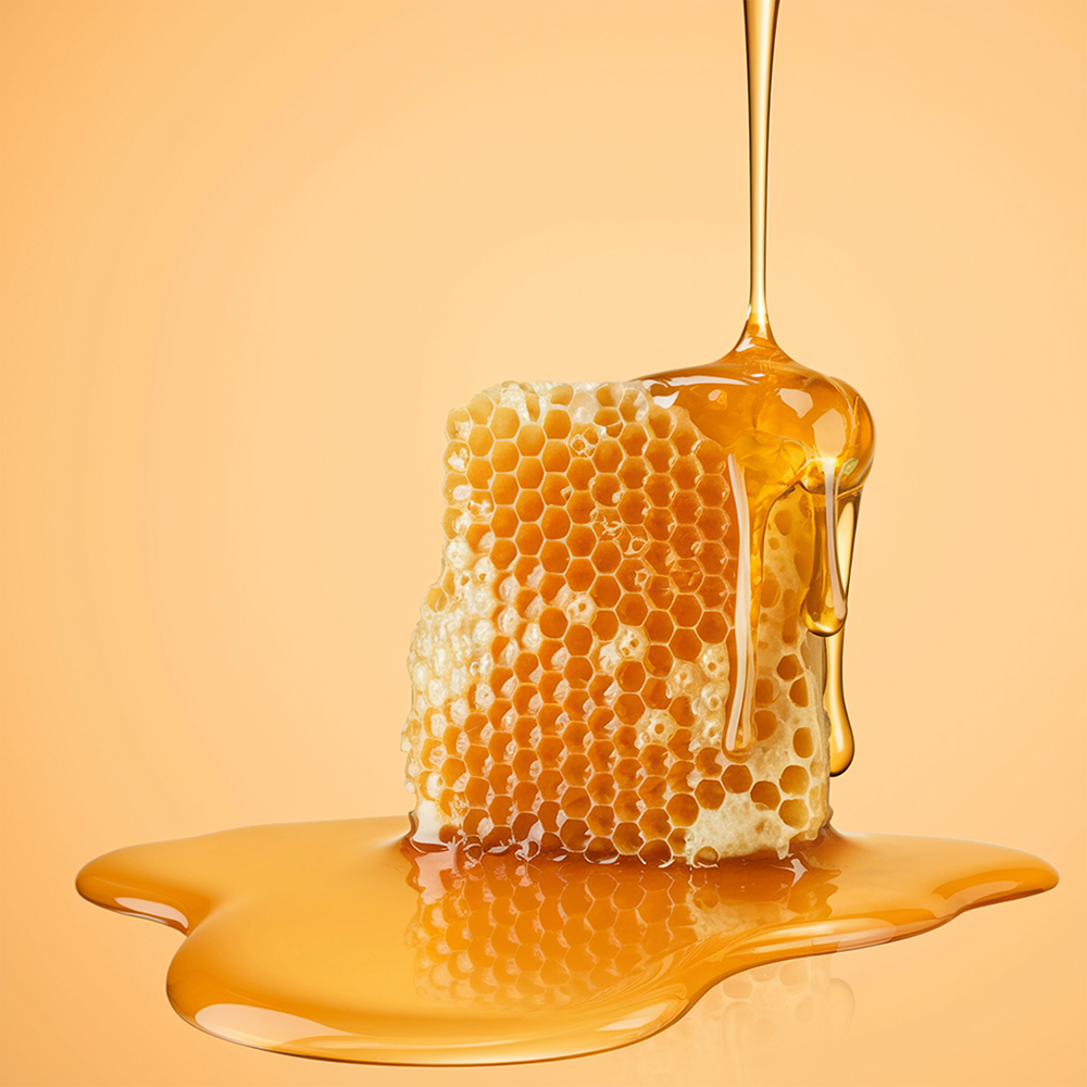 The Body Oil